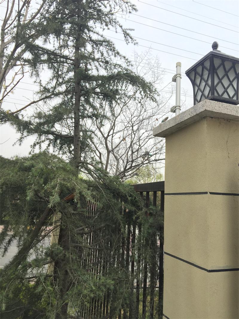 【綠色智慧住區(qū)】魯商中心掠影(圖11)