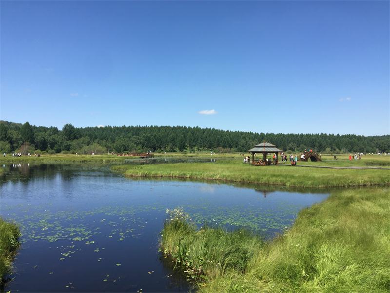 塞罕壩明珠七星湖 詩(shī)情畫意似仙境(圖4)