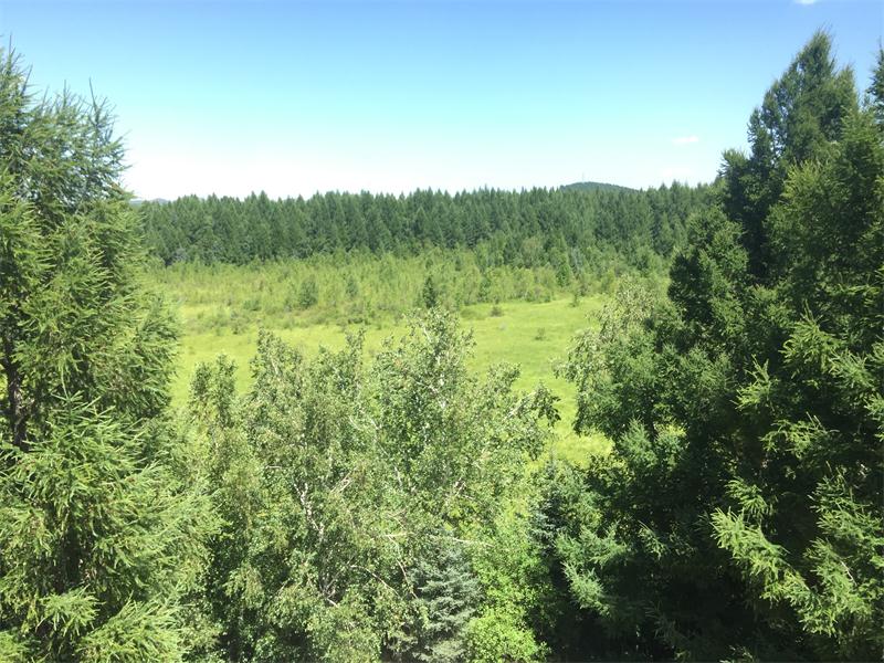 塞罕壩明珠七星湖 詩(shī)情畫意似仙境(圖9)