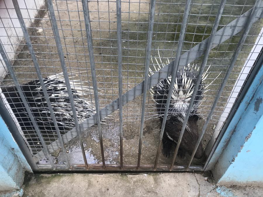 天鵝湖風(fēng)景區(qū)（泰山）速覽！(圖10)