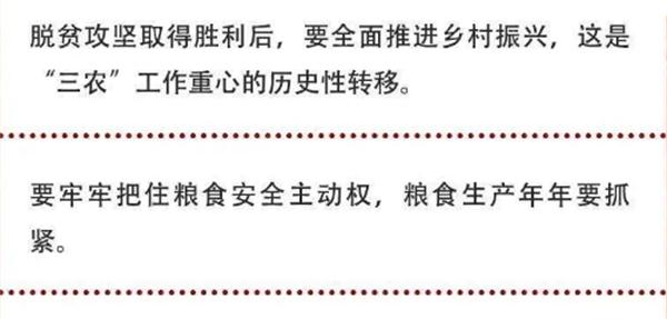 2020年中央農(nóng)村工作會議精神速覽！(圖2)