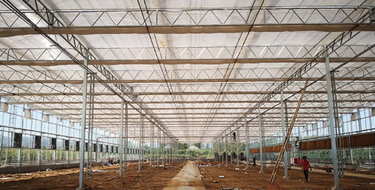 信橋鋼構(gòu)：打卡蒙陰農(nóng)業(yè)溫室大棚、青州黑牛養(yǎng)殖基地！(圖3)