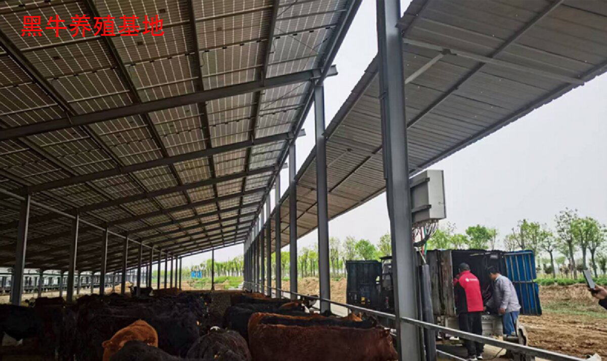 鋼結(jié)構(gòu)工程全流程服務(wù):山東信橋鋼結(jié)構(gòu)有限公司(圖13)